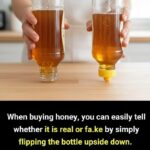 This plant cleans the blood, skin, kidneys, liver, and pancreas in one go. But do it this way… To keep receiving my recipes, you just need to say something… Thank you!…