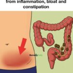 I found a USB drive inside a simple sausage — at first I thought it was a coincidence, until I saw what was inside