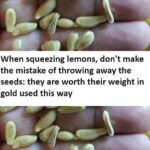 Six nutrients that prevent diabetes complications…more