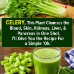 9 Vitamins & Supplements That May Affect Your Liver and Kidneys If Misused