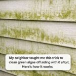 THE MIXTURE THAT WILL MAKE YOUR HOME SMELL SO WONDERFUL