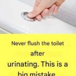 10 Early Signs of Dementia You Should NEVER Ignore!….