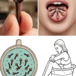 Clear your throat and lungs of mucus with this recipe – just 2 ingredients