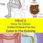 Top 10 foods to heal knee pain and boost cartilage